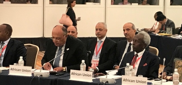 وزير الخارجية يشارك في الاجتماع الوزاري لمؤتمر طوكيو الدولي للتنمية في أفريقيا (التيكاد)