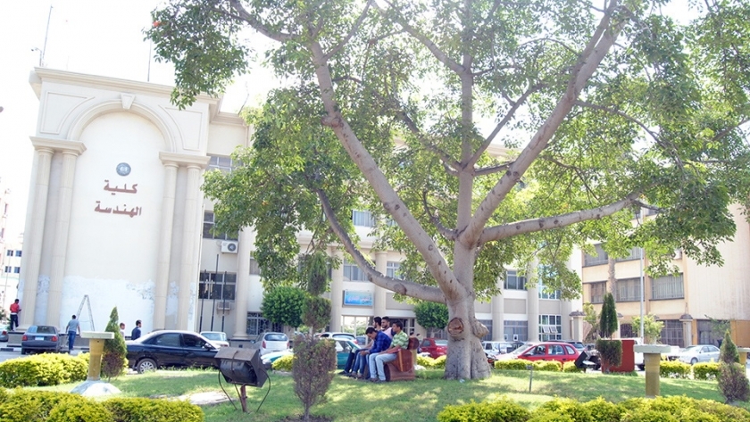 كلية الهندسة - جامعة المنصورة