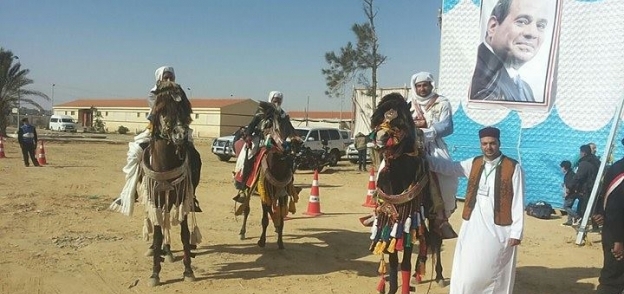 الخيول العربية تستقبل المشاركين فى مؤتمر الضبعة