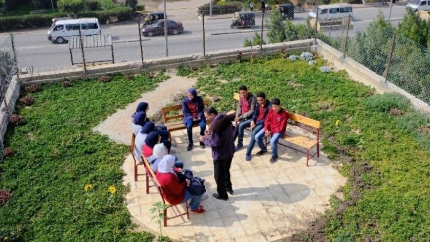 «فصول الأسطح».. مبادرة مصرية تجذب اهتمام «البنك الدولي» لحل مشكلة كثافة العدد