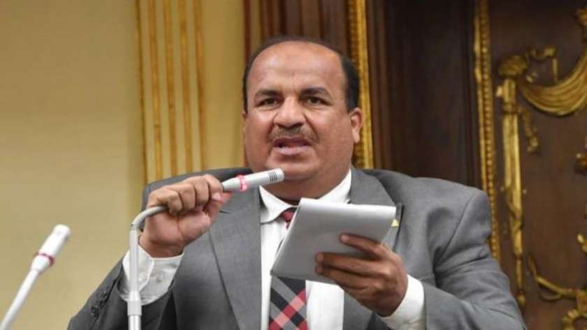 النائب محمد عبد الحميد، وكيل اللجنة الاقتصادية بمجلس النواب