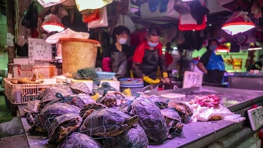 سوق ووهان للمأكولات البحرية فى الصين