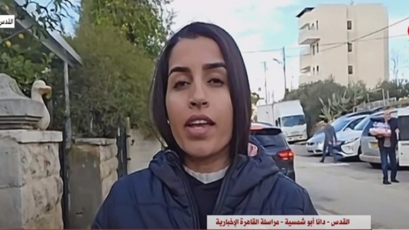 دانا أبو شمسية مراسلة قناة القاهرة الإخبارية