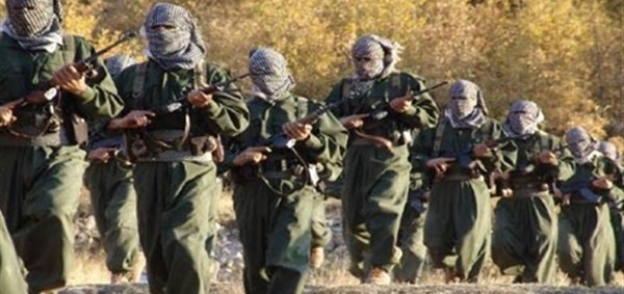 المقاتلون الأكراد يعلنون إلقاء القبض على جهادي فرنسي بارز في شمال سوري