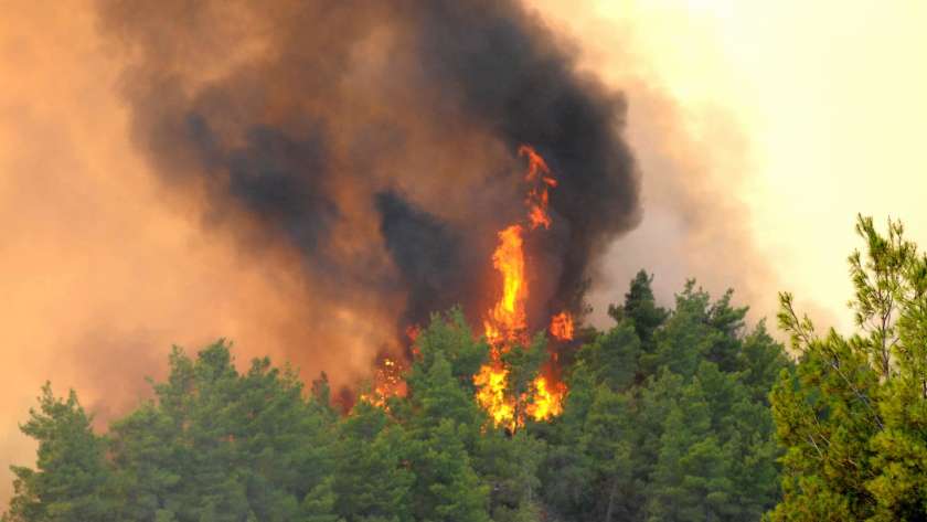 حرائق الغابات في تركيا تتواصل