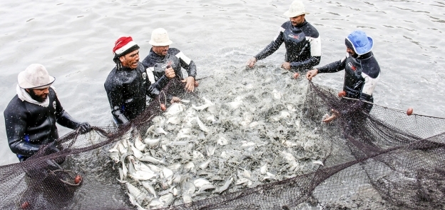 الاستزراع السمكي
