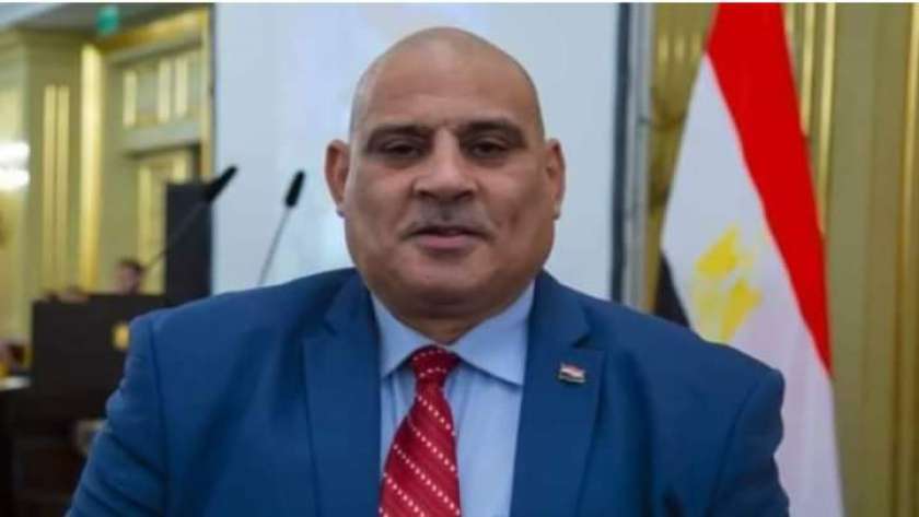 رئيس الجالية المصرية في روسيا