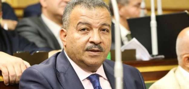 الدكتور محمد العماري .. رئيس لجنة الصحة بمجلس النواب