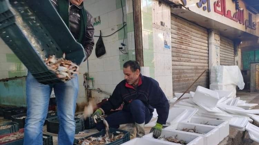 سوق السمك بمدينة العريش