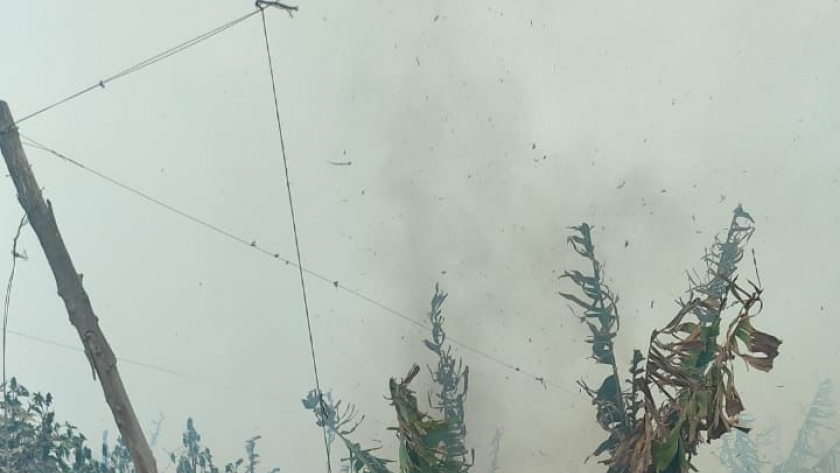 حريق مزرعة موز بالقناطر