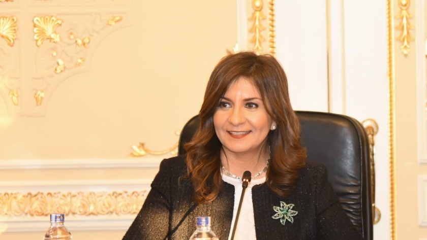 الدكتورة نبيلة مكرم وزيرة الهجرة امام لجنة الشئون الافريقية