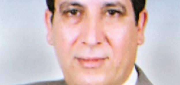 الدكتور إبراهيم ريحان، رئيس جهاز تنمية القرية المصرية الأسبق وخبير المحليات