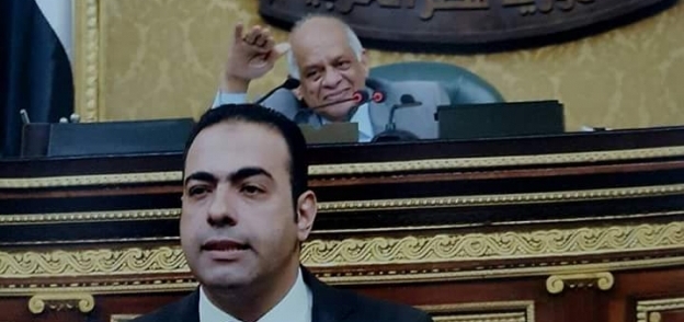 الدكتور محمود حسين، عضو مجلس النواب، ورئيس قطاع المصريين فى الخارج بحملة " عشان تبنيها "