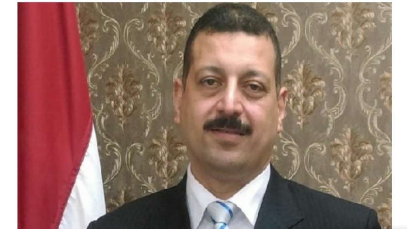 الدكتور أيمن حمزة - المتحدث باسم وزارة الكهرباء والطاقة المتجددة