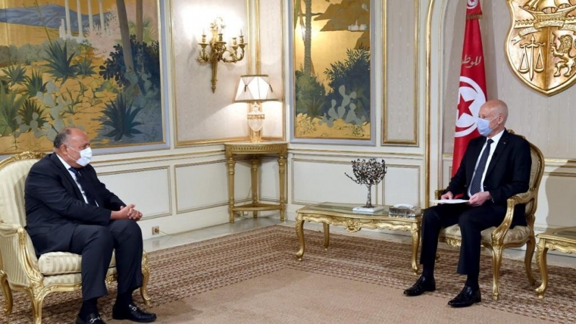 وزير الخارجية المصري سامح شكري خلال زيارته لتونس