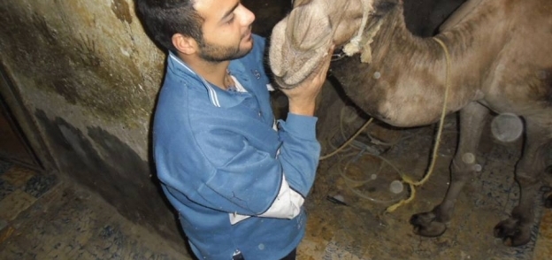 محمد شريف يساعد أصحاب الأضحية بتعليمهم طريقة الذبح