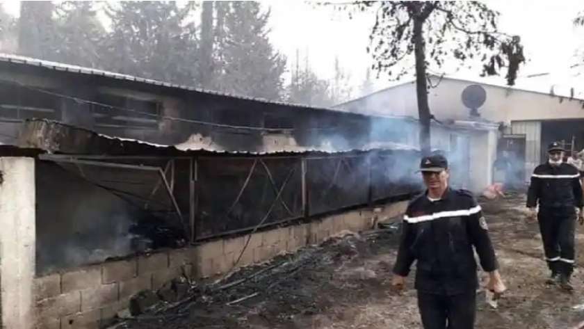 عمليات إطفاء الحرائق في الجزائر