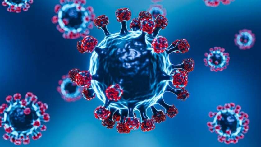 فيروس كورونا الجديد في فصل الشتاء- تعبيرية