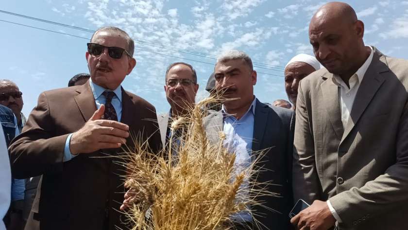 محافظ كفر الشيخ يشهد افتتاح موسم حصاد القمح