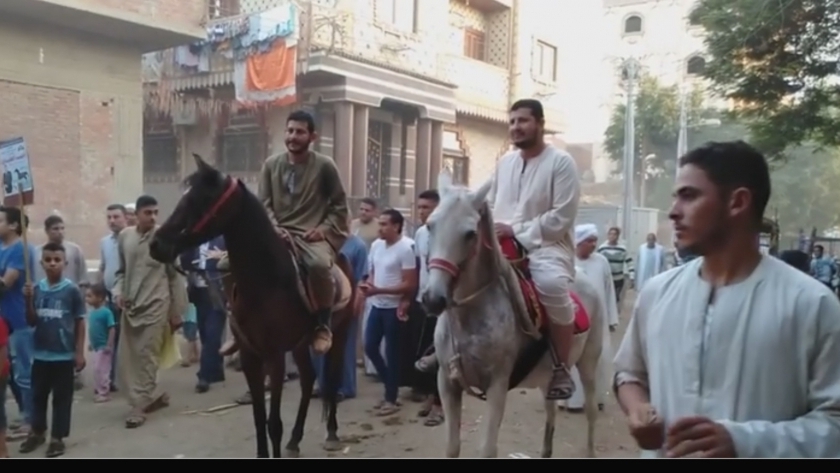 الخيول تتقدم مسيرة مرشح فردي في بني سويف.. رمزه الانتخابي