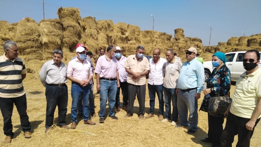مسؤولو "الزراعة" و"البيئة" يتابعون جمع وتدوير قش الأرز بكفر الشيخ