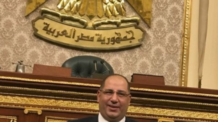 النائب أحمد سعد نويصر عضو مجلس النواب