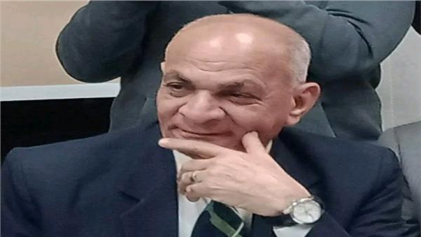 كمال حسانين، رئيس حزب الريادة