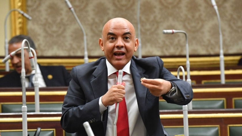 عمرو هندي عضو مجلس النواب