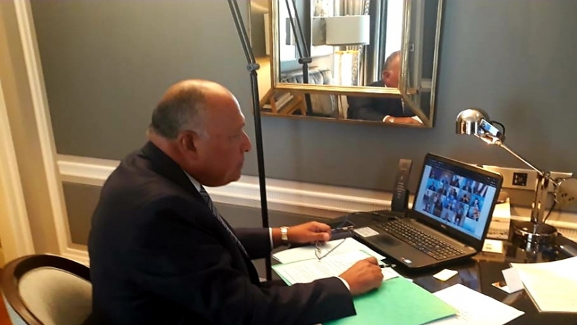 السفير سامح شكري خلال أحدى الجلسات عبر الفيديو كونفرانس