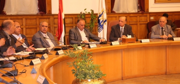 مجلس تنفيذي القاهرة
