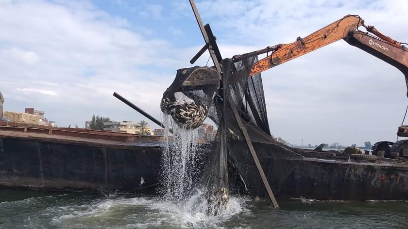 إزالة الأقفاص السمكية بنهر النيل