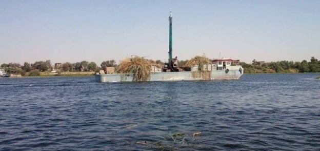 بالصور| "ري قنا" و"حماية النيل" يفتتان جزيرتين في نهر النيل