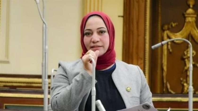 النائبة صفاء جابر عضو مجلس النواب
