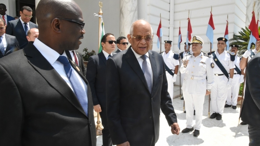 زيارات برلمانية متبادلة بين مصر وأفريقيا