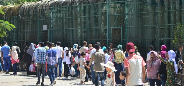 حديقة الحيوان بالإسكندرية تستقبل زوارها لإطعام الحيوانات بأيام العيد