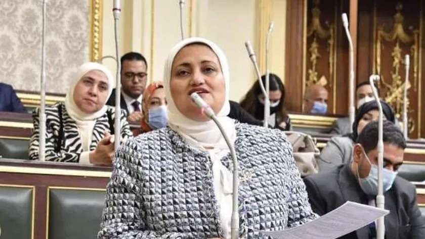 سناء السعيد، عضو المجلس القومي للمرأة
