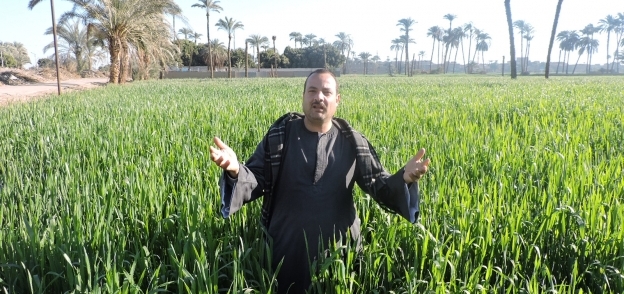 أحمد فقير أمين عام نقابة الفلاحين بسوهاج وسط زراعات القمح