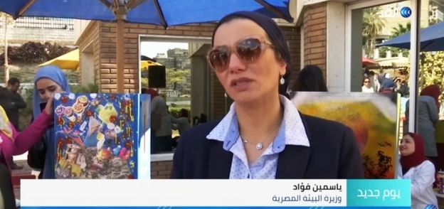 ياسمين فؤاد، وزيرة البيئة