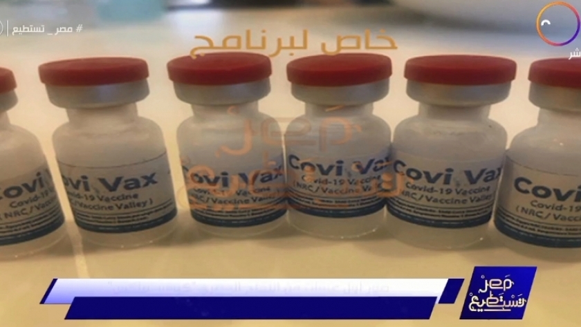 صورة اللقاح المصري