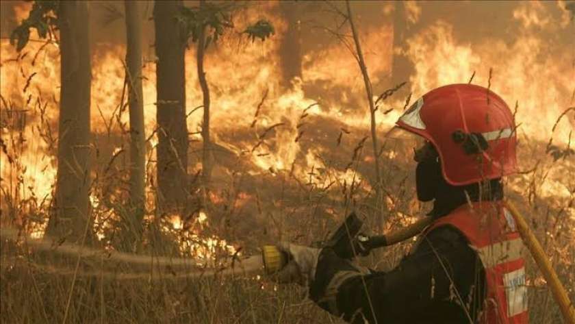 ارتفاع الحرارة وحرائق الغابات فى أسبانيا