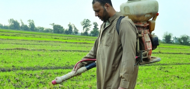 مزارع يقاوم الآفات الزراعية بالمبيدات