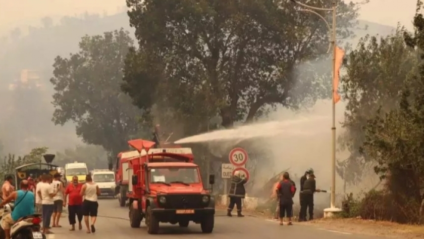 عمليات إخماد حرائق الغابات في الجزائر-صورة أرشيفية