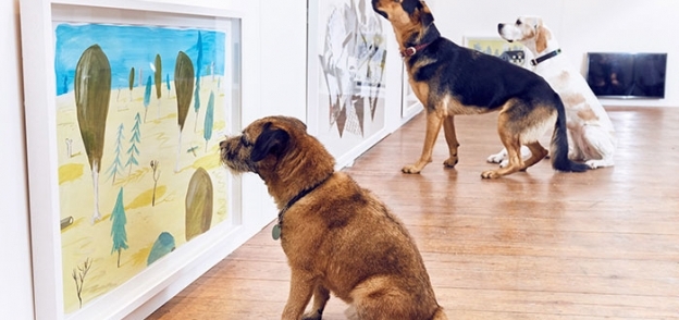 الكلاب داخل المعرض الفني
