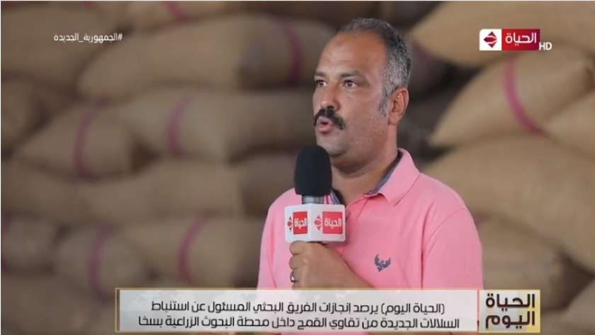 الدكتور السيد عبد الحميد، رئيس الفريق البحثي لقسم بحوث القمح بسخا،
