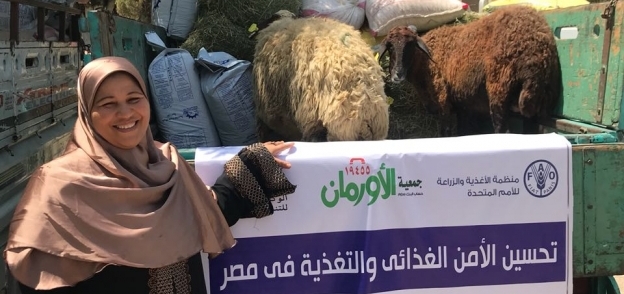 مشروع تحسين الأمن الغذائي والتغذية فى مصر