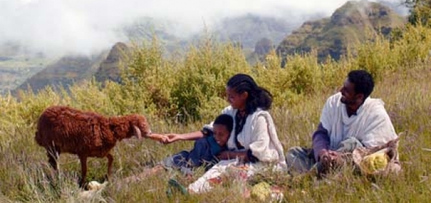 الفيلم الإثيوبي "الشاه"