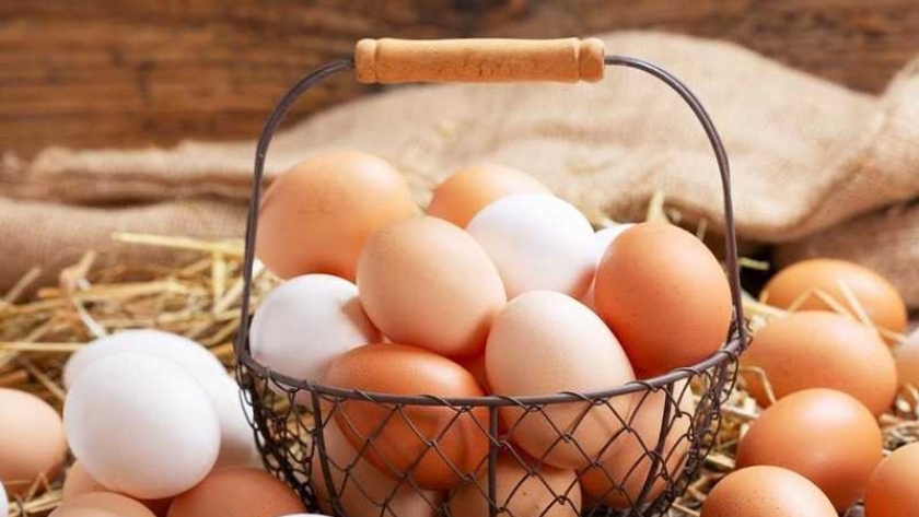 أسعار البيض اليوم الثلاثاء 11-4-2023 في الأسواق والمحلات