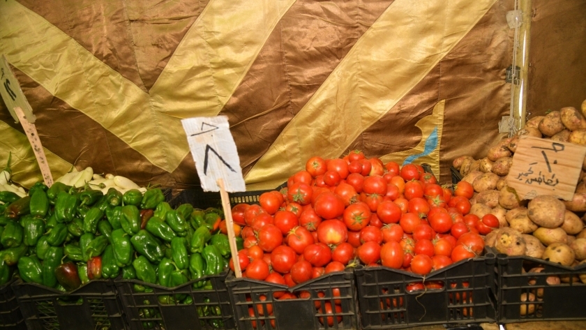 تراجع أسعار الخضراوات خلال شهر يناير