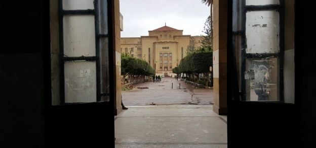 كلية الهندسة جامعة الإسكندرية في الأمطار
