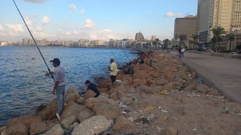 صيد السمك في الإسكندرية